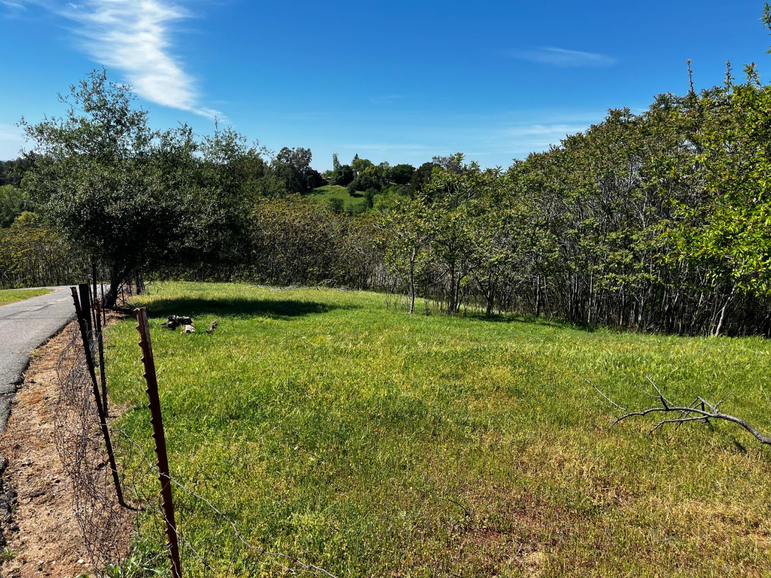 0 Butler Road Penryn, CA 95663 - Photo 16 of 19 Gallery Image 16