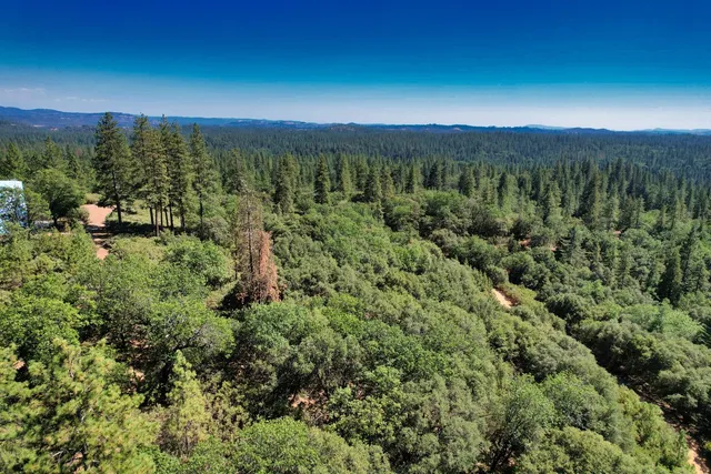 a view of a lush green field