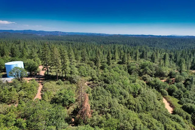 a view of a city with lush green forest