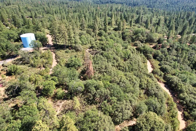 a view of a green field with lots of bushes