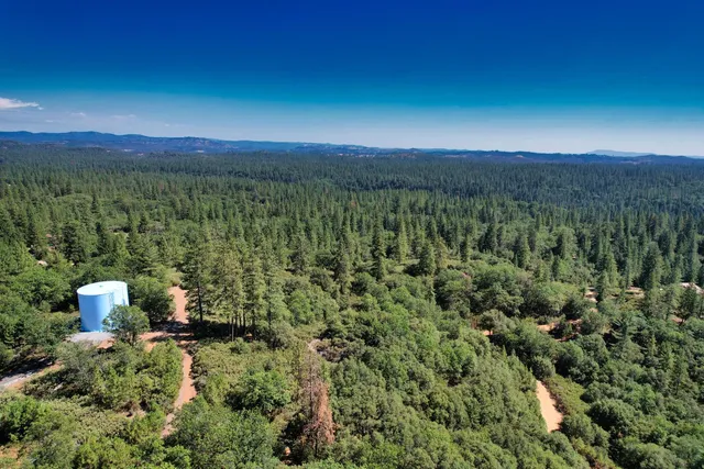 a view of a city with lush green forest