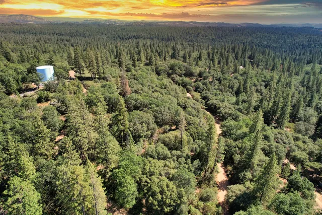 a view of a green field with lots of bushes