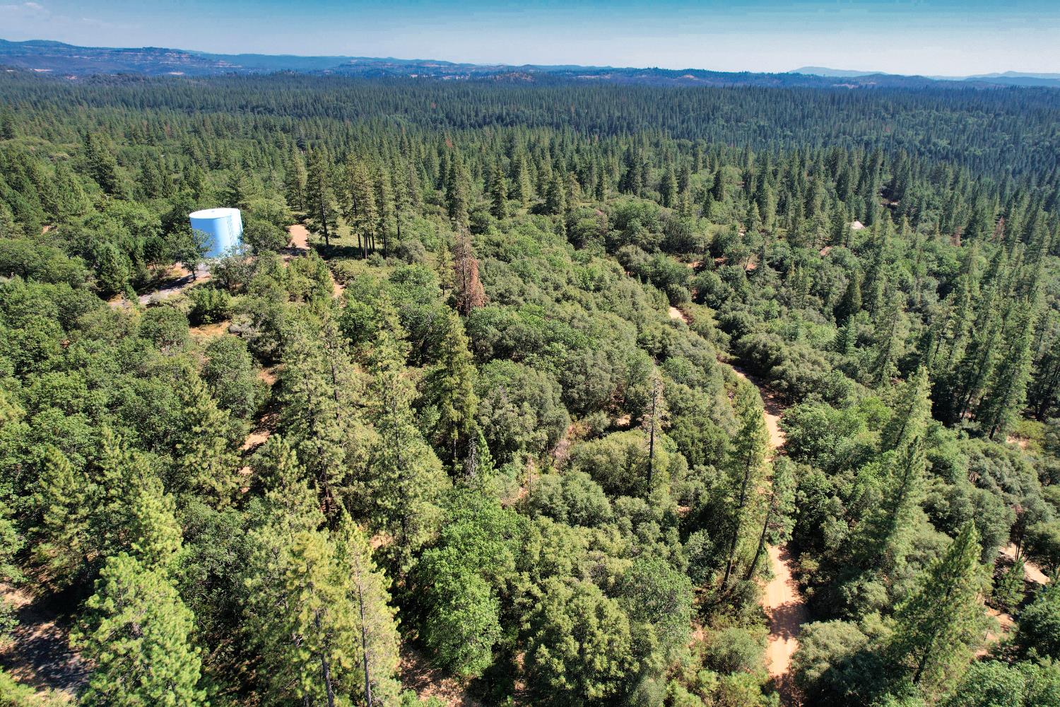 1233 Cedar Hill Road Mokelumne Hill, CA 95245 - Photo 29 of 69 a view of a city with lush green forest