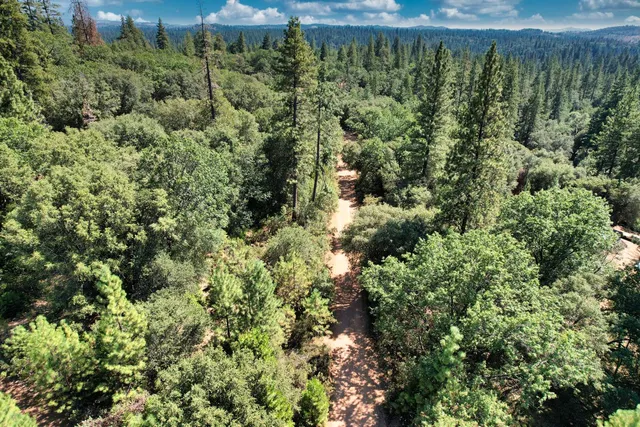a view of a lush green forest with a lake and trees
