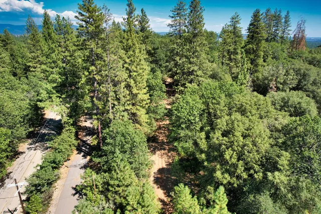a view of a city with lush green forest