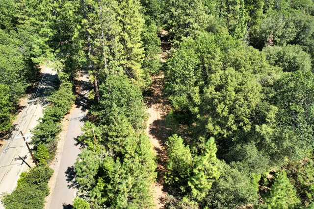 a view of a bunch of trees and bushes