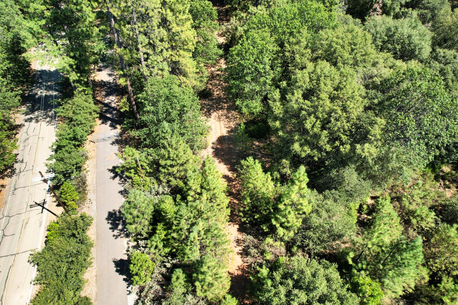 1233 Cedar Hill Road Mokelumne Hill, CA 95245 - Photo 4 of 69