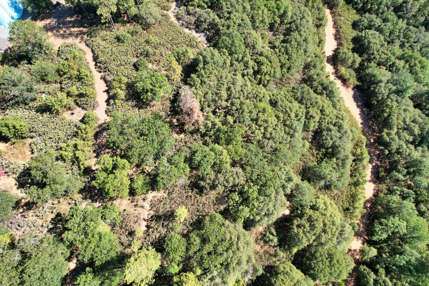 1233 Cedar Hill Road Mokelumne Hill, CA 95245 - Photo 42 of 69