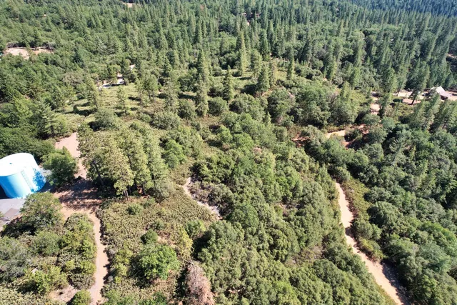 a view of a city with lush green forest