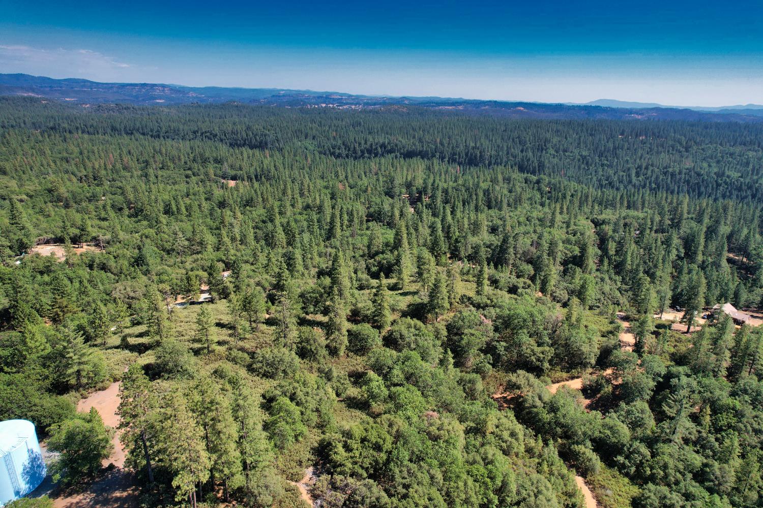 1233 Cedar Hill Road Mokelumne Hill, CA 95245 - Photo 46 of 69 a view of a lush green forest with a building in the background