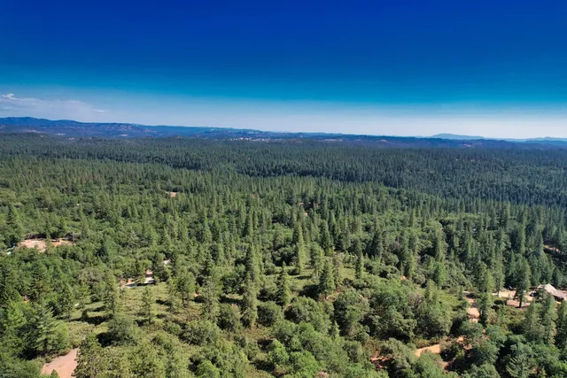 a view of a city with lush green forest