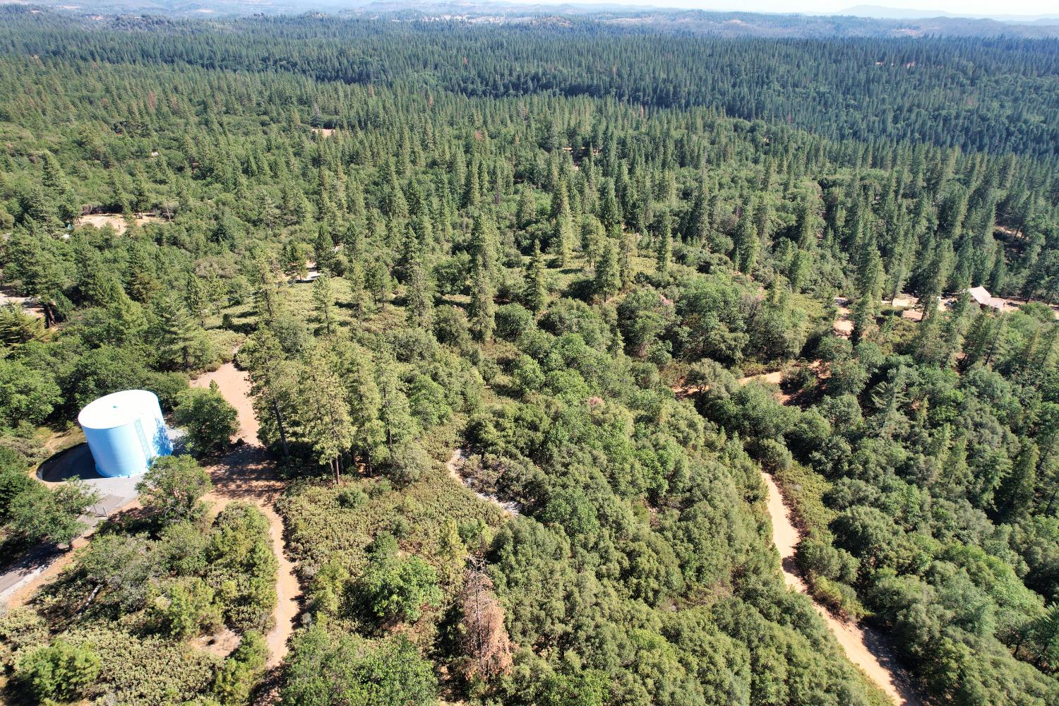 1233 Cedar Hill Road Mokelumne Hill, CA 95245 - Photo 48 of 69 a view of a bunch of trees and bushes