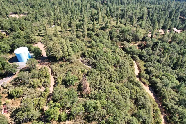 a view of a green field