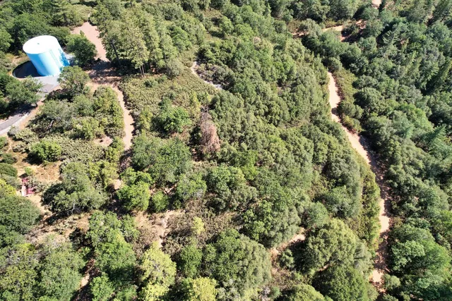 a view of a house with a tree