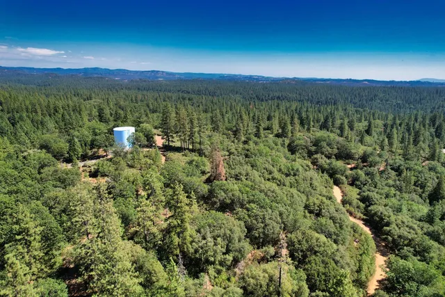 a view of a forest with a houses