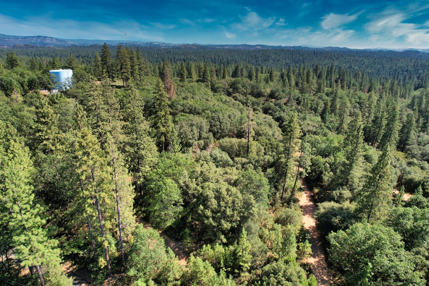 1233 Cedar Hill Road Mokelumne Hill, CA 95245 - Photo 60 of 69 a view of a garden