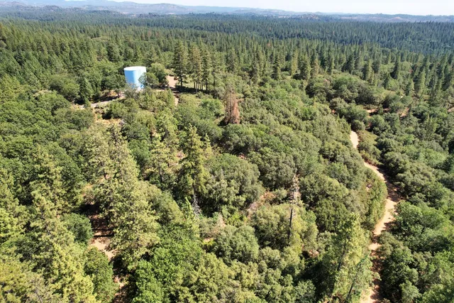 a view of a city with lush green forest
