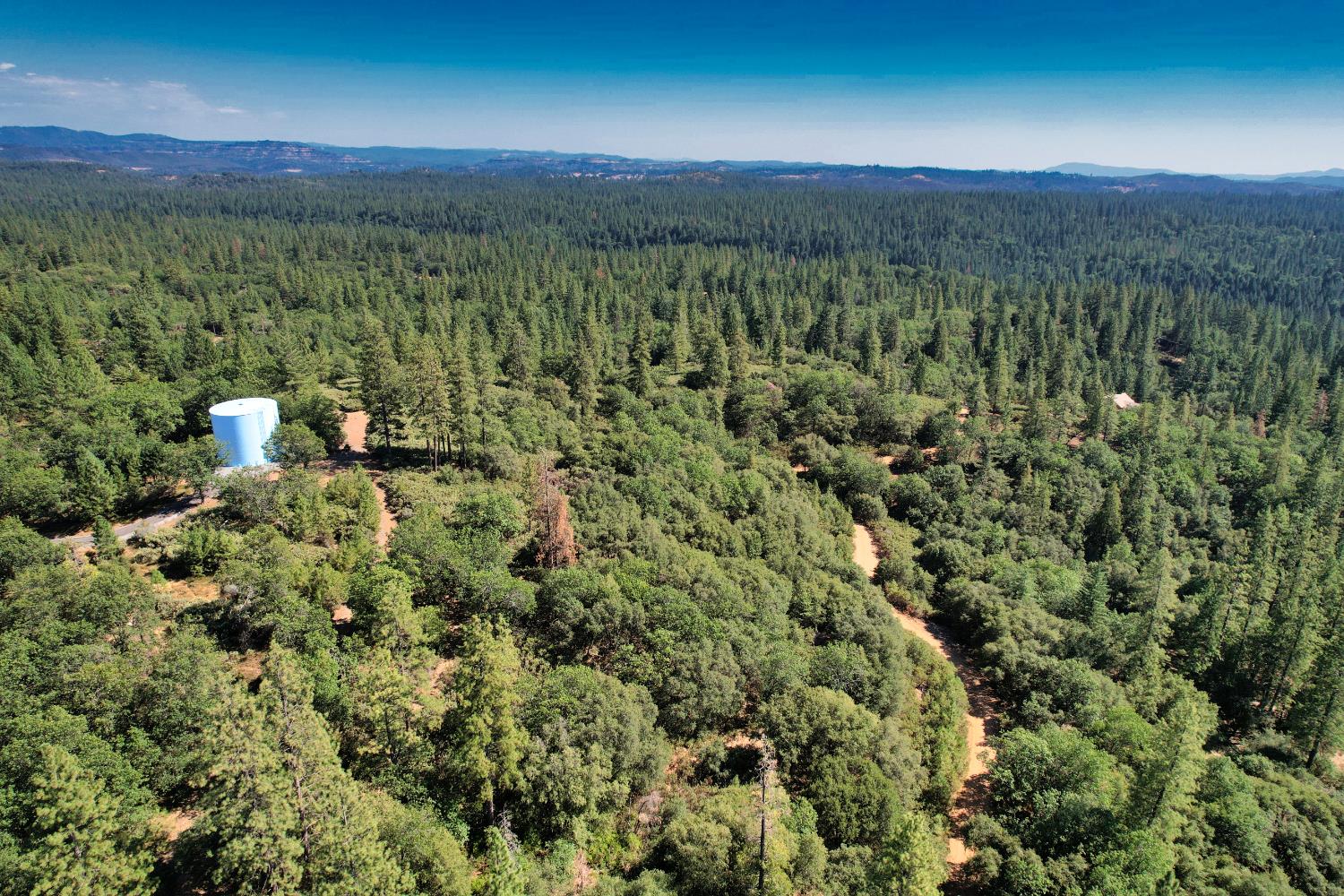 1233 Cedar Hill Road Mokelumne Hill, CA 95245 - Photo 65 of 69 a view of a city with lush green forest