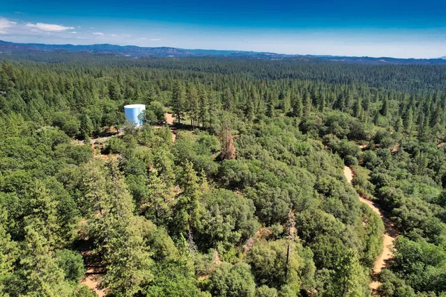 a view of a city with lush green forest