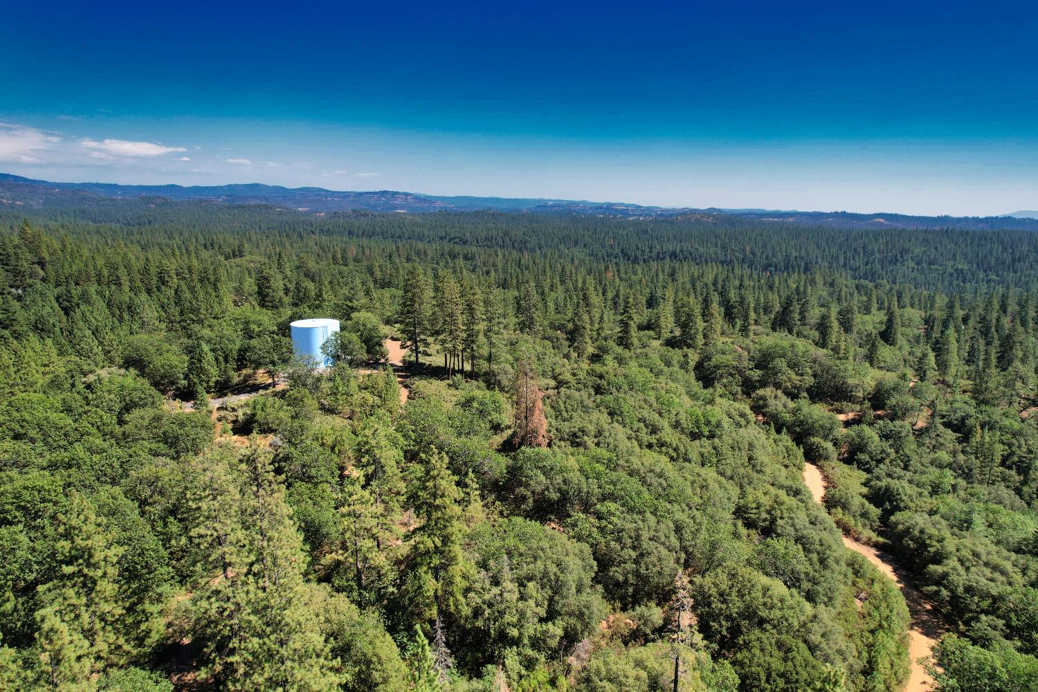 1233 Cedar Hill Road Mokelumne Hill, CA 95245 - Photo 8 of 69 a view of a city with lush green forest