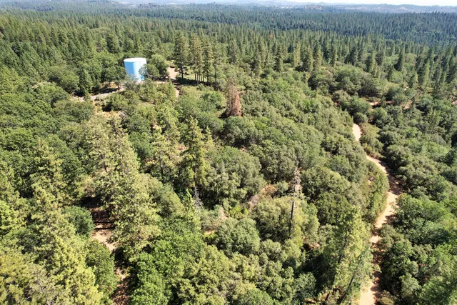 a view of a city with lush green forest