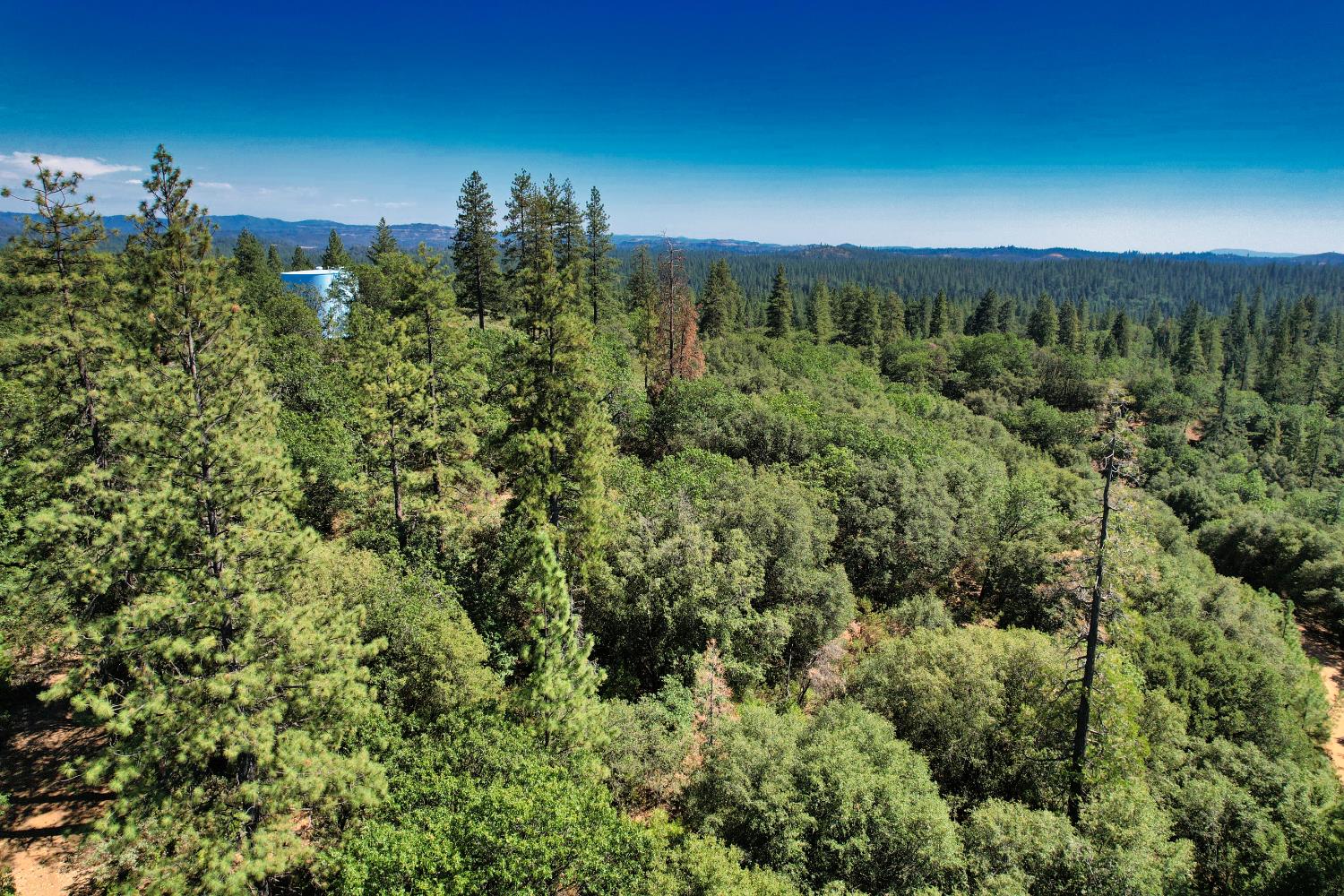 1233 Cedar Hill Road Mokelumne Hill, CA 95245 - Photo 10 of 69 a view of a city with lush green forest