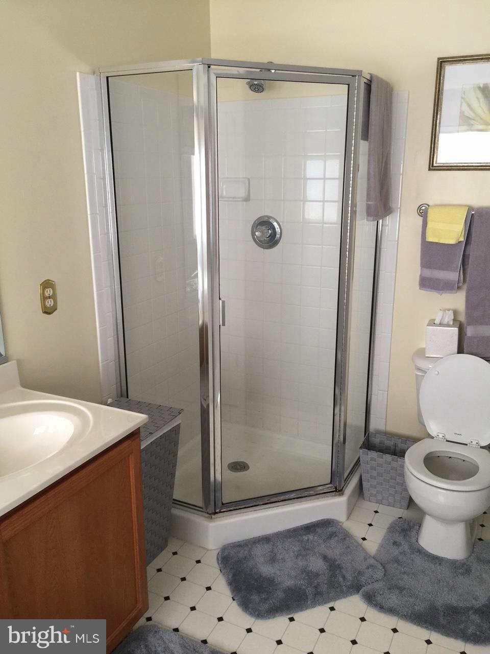 18214 Coachmans Road Germantown, MD 20874 - Photo 8 of 21 Bath (Master)