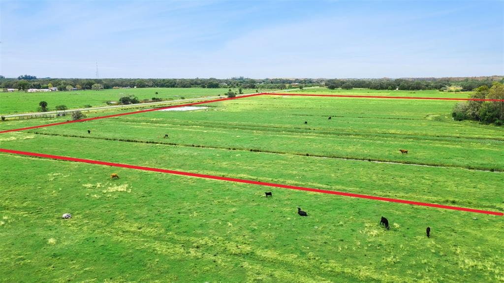 1099 South Canoe Creek Road Kenansville, FL 34739 - Photo 2 of 41 a view of a field with a big yard
