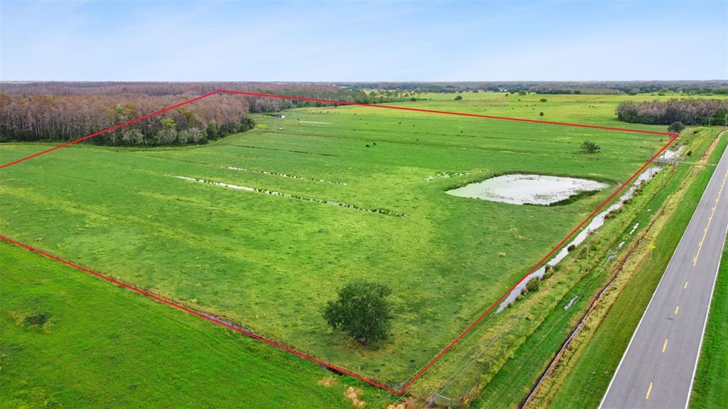 1099 South Canoe Creek Road Kenansville, FL 34739 - Photo 26 of 41 a view of a lush green field