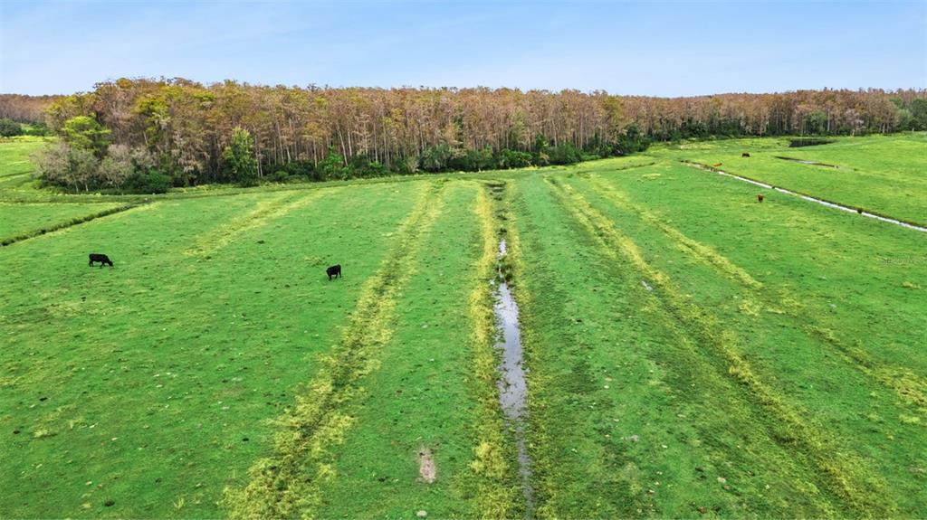 1099 South Canoe Creek Road Kenansville, FL 34739 - Photo 9 of 41 a view of a lush green field