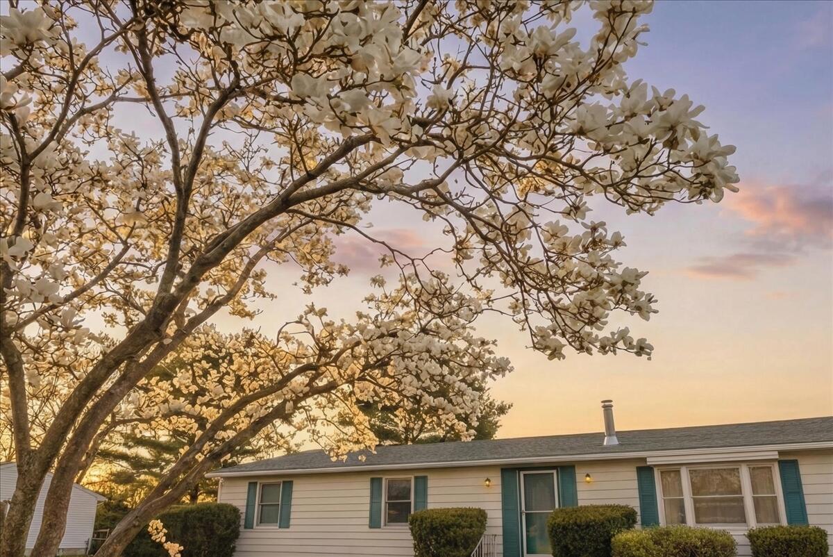 60 North Hill Road Buckfield, ME 04220 - Photo 6 of 77 18-1_Exterior Front 4