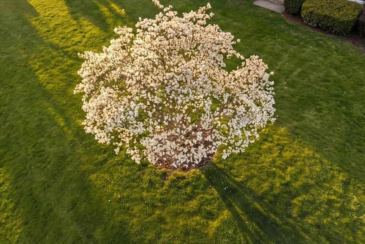 60 North Hill Road Buckfield, ME 04220 - Photo 72 of 77 12-1_Aerial 11