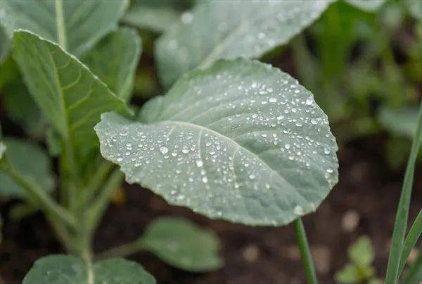 $320,000 | 60 North Hill Road, Buckfield, ME 04220