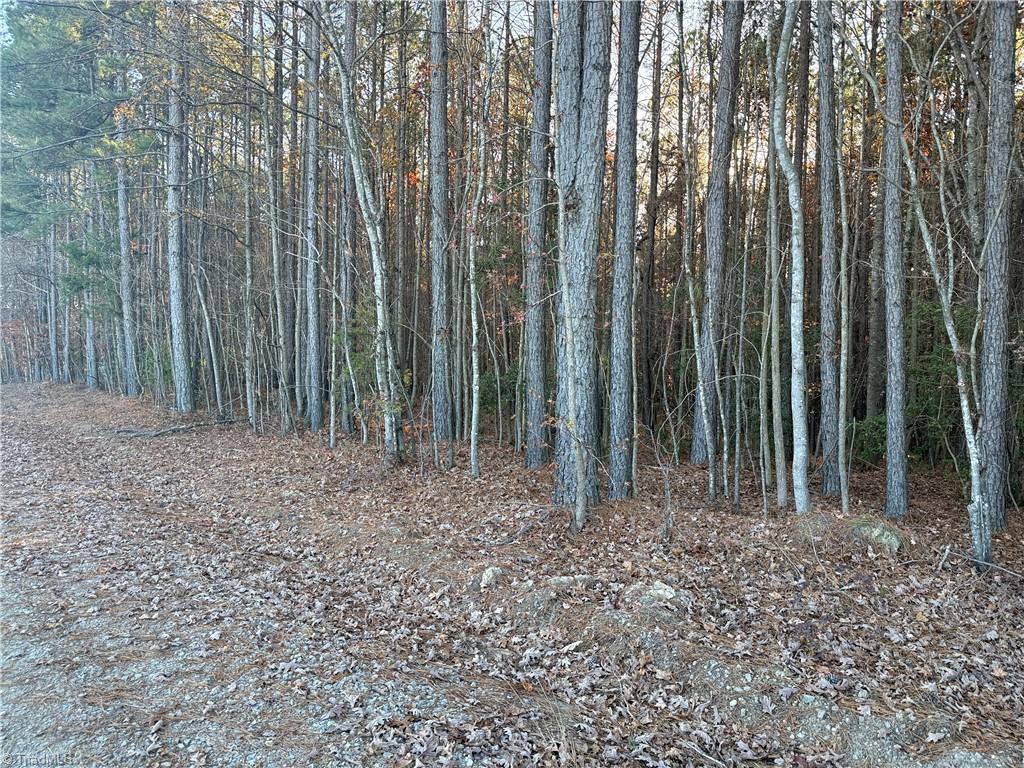 Lot 12 Woods Road Seagrove, NC 27341 - Photo 2 of 12