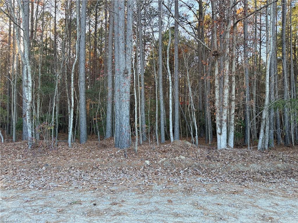 Lot 12 Woods Road Seagrove, NC 27341 - Photo 3 of 12