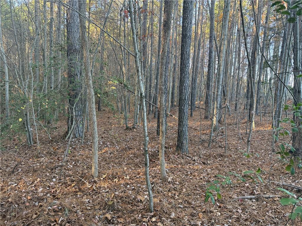 Lot 12 Woods Road Seagrove, NC 27341 - Photo 4 of 12