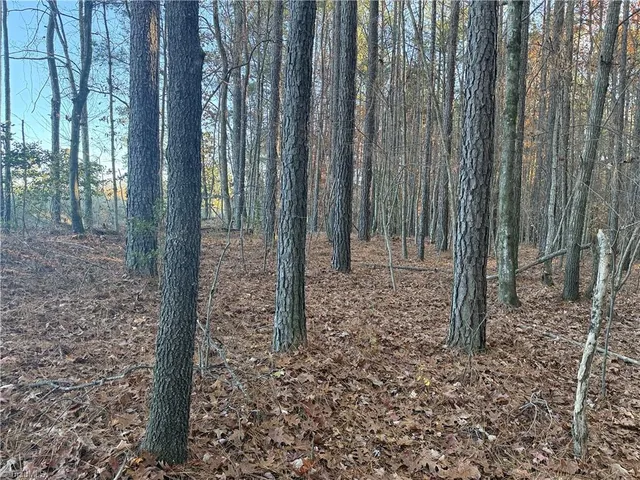 $89,900 | Lot 12 Woods Road, Seagrove, NC 27341