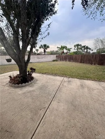 a view of a street with a large tree