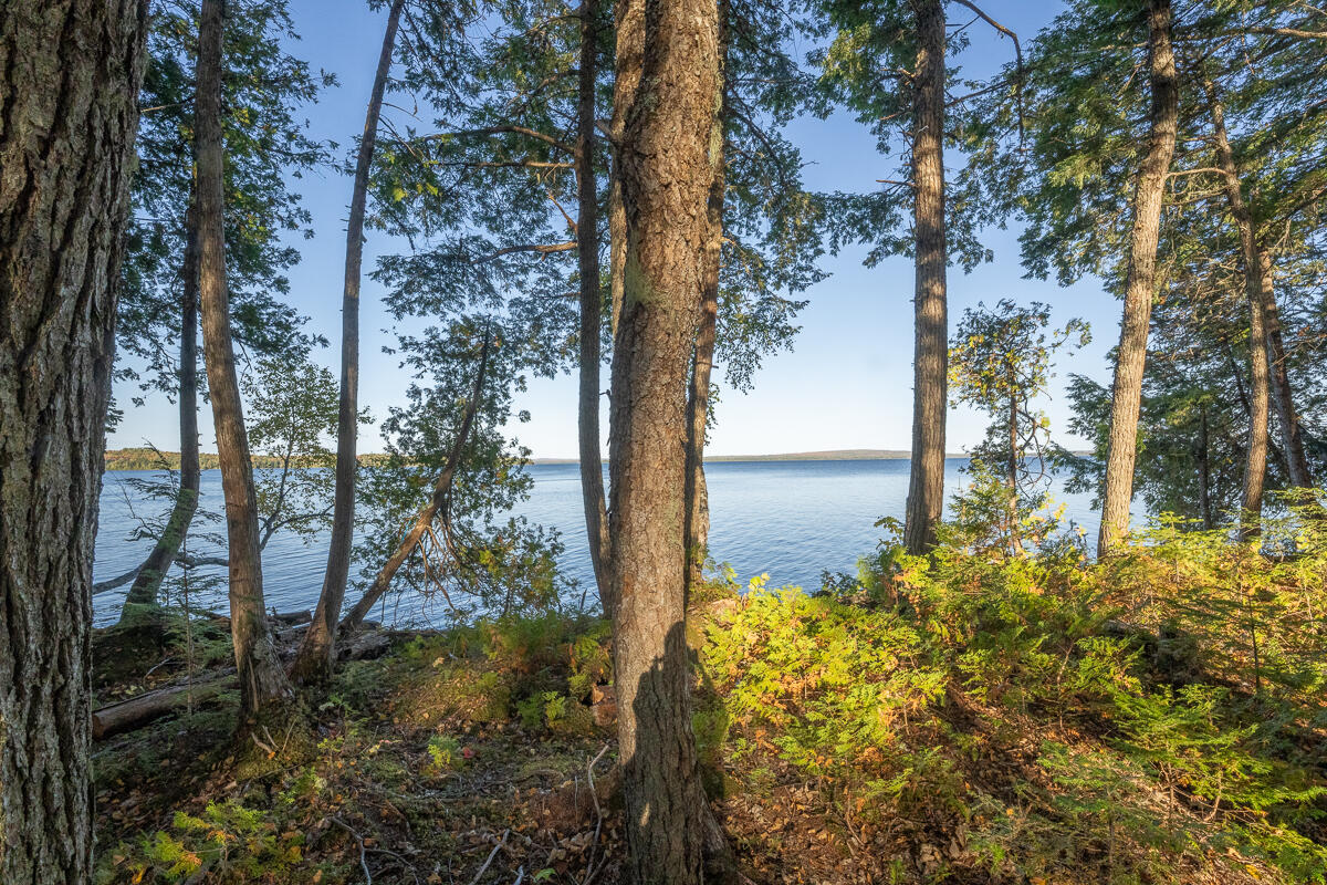 Lot 4 Chadwick Pt Road Weston, ME 04424 - Photo 7 of 30