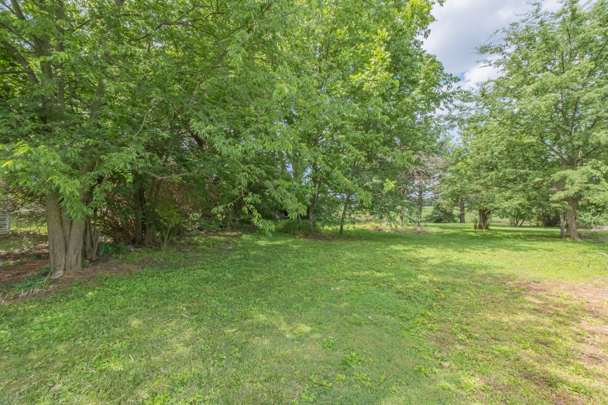 8615 Hillsboro Viola Road Morrison, TN 37357 - Photo 7 of 47 Gallery Image 7