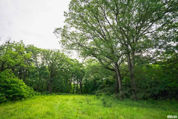 $1,800,000 | 545 East Tarters Ferry Lane, Table Grove, IL 61482