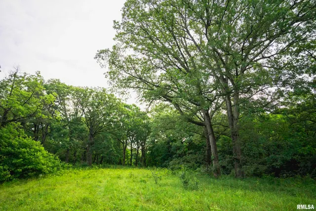 $1,990,000 | 545 East Tarters Ferry Lane, Table Grove, IL 61482