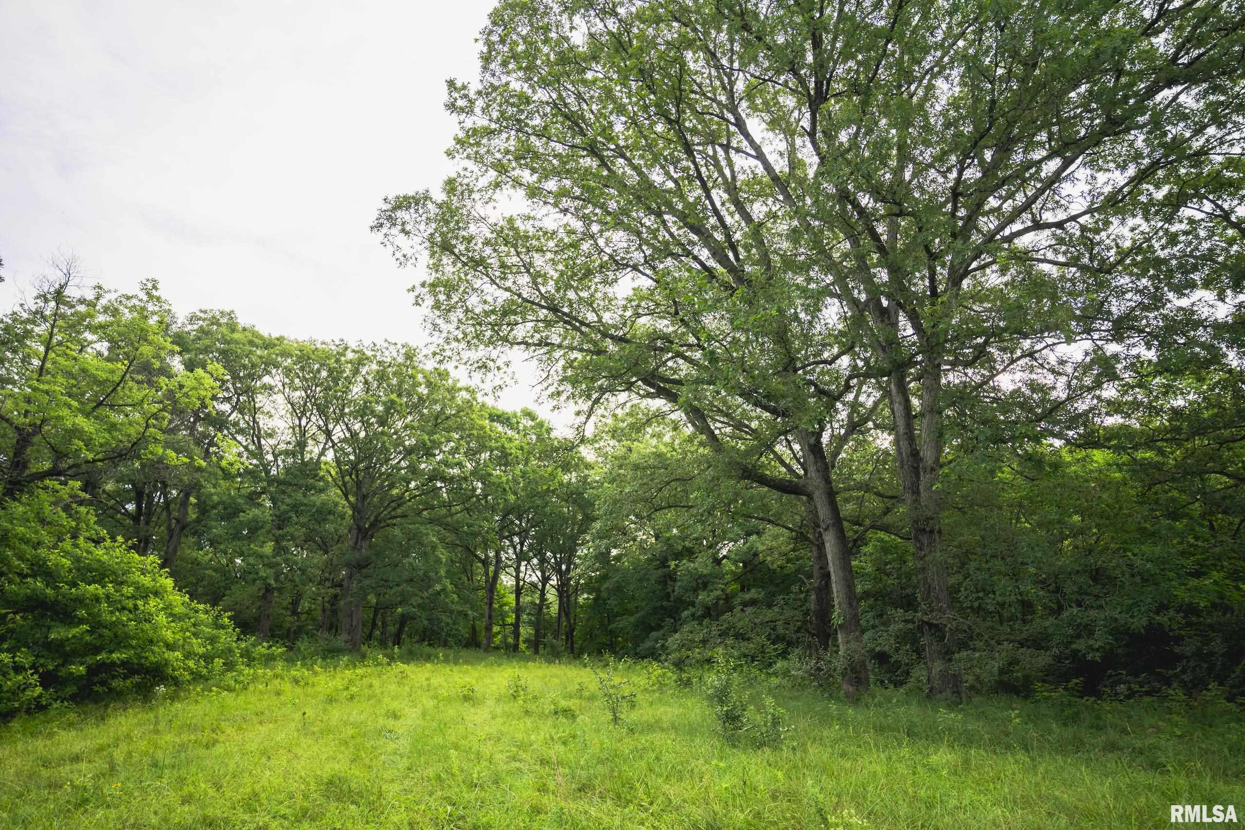 545 East Tarters Ferry Lane Table Grove, IL 61482 - Photo 12 of 99