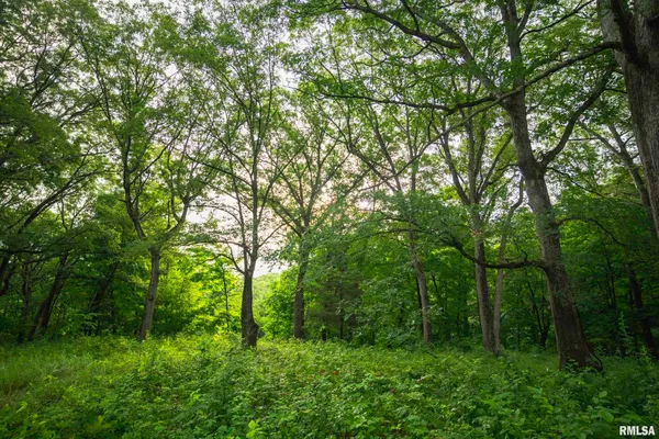 $1,800,000 | 545 East Tarters Ferry Lane, Table Grove, IL 61482