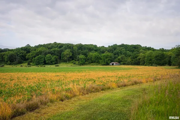 $1,800,000 | 545 East Tarters Ferry Lane, Table Grove, IL 61482