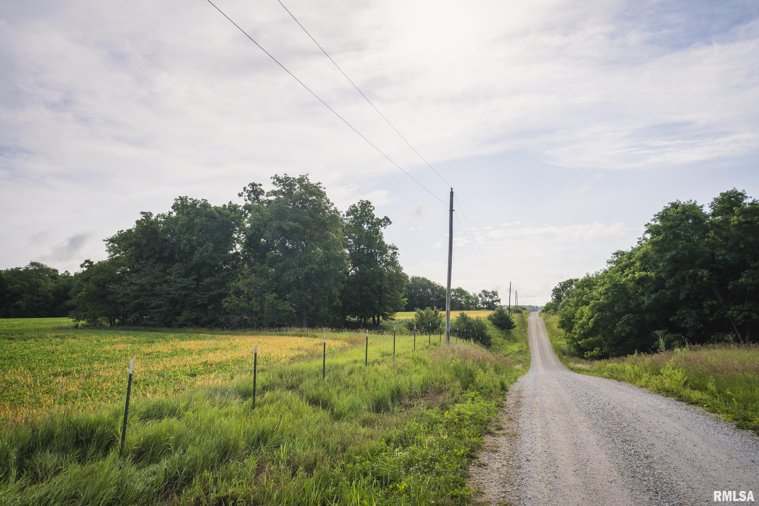 545 East Tarters Ferry Lane Table Grove, IL 61482 - Photo 31 of 99