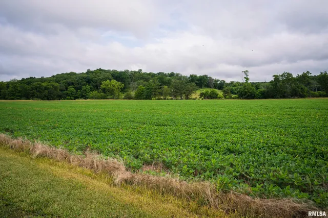 $1,990,000 | 545 East Tarters Ferry Lane, Table Grove, IL 61482