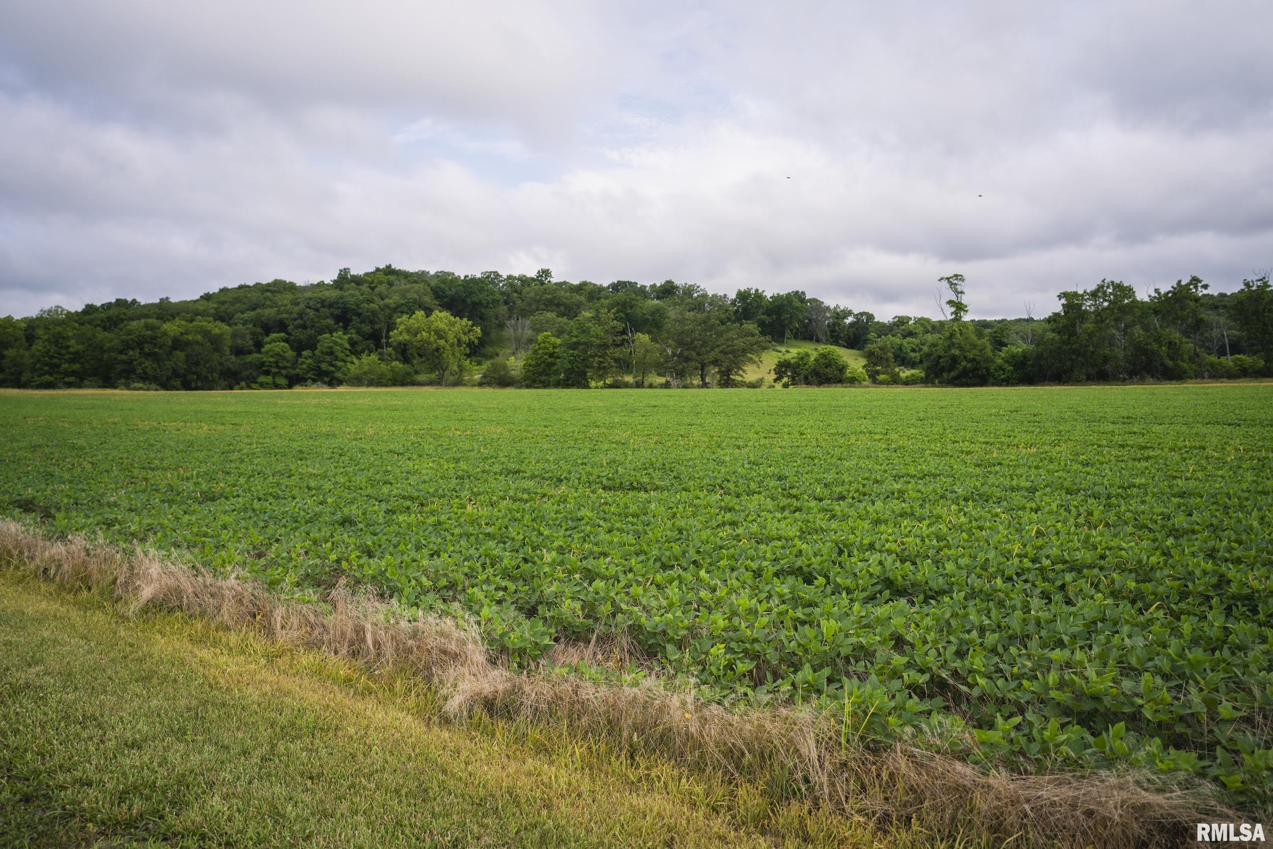 545 East Tarters Ferry Lane Table Grove, IL 61482 - Photo 34 of 99