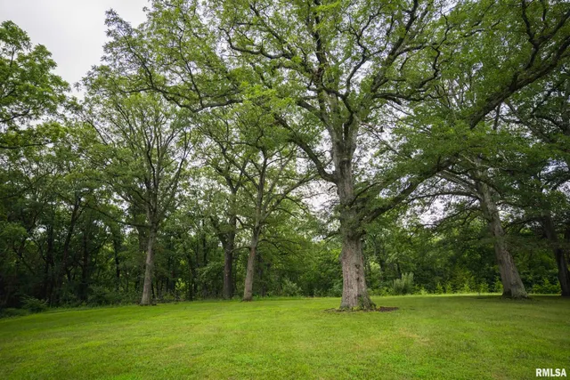 $1,990,000 | 545 East Tarters Ferry Lane, Table Grove, IL 61482