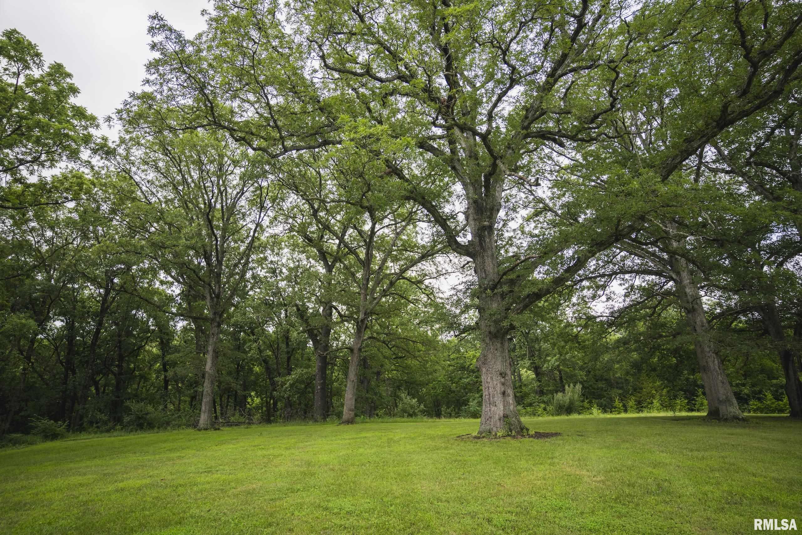 545 East Tarters Ferry Lane Table Grove, IL 61482 - Photo 37 of 99